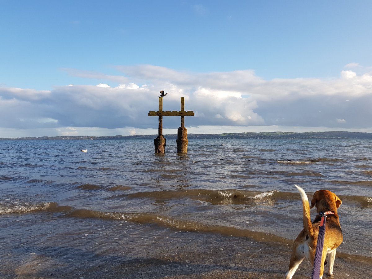 shanemuk's tweet photo. Since we're supposed to be holidaying at home - #holidaygate and all that - it's time for @niwnews @deptinfra to #openthegate at Greenisland to allow safe access to/from the beach for residents and visitors. Do the right thing. #ShareTheShore. #NIWatergate https://t.co/lxS8EkBtht