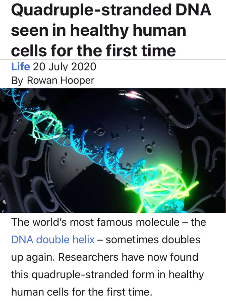 aHEMandias's tweet photo. “4-strand DNA seen in healthy human cells for first time.”
Ever since computer models showed viability of 3-4+ stranded DNA, I’ve been suggesting, “If you look, you’ll find #EpigeneticMemory. Once found, everything changes.”
Guess what...
— #ahemSCIENCE
https://t.co/rt9esLCGoF https://t.co/KSGP6TQm3e