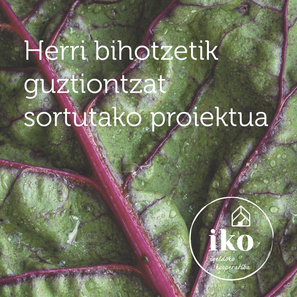 Herri bihotzetik guztiontzat sortutako proiektua #IKOIgeldo

#Igeldo #Bihotza #Proiektua