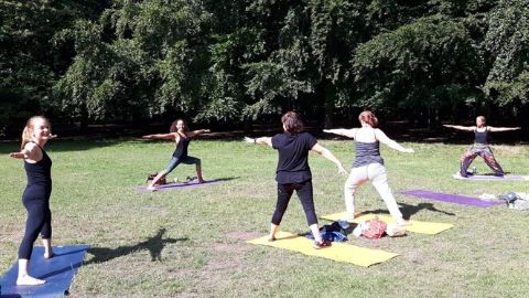 bayleafyoga's tweet photo. Bayleaf Yoga News 🍃  New Normal, New Classes, New Kitten! - https://t.co/PyFjYL5HA2 https://t.co/kf5Xo1HkD0