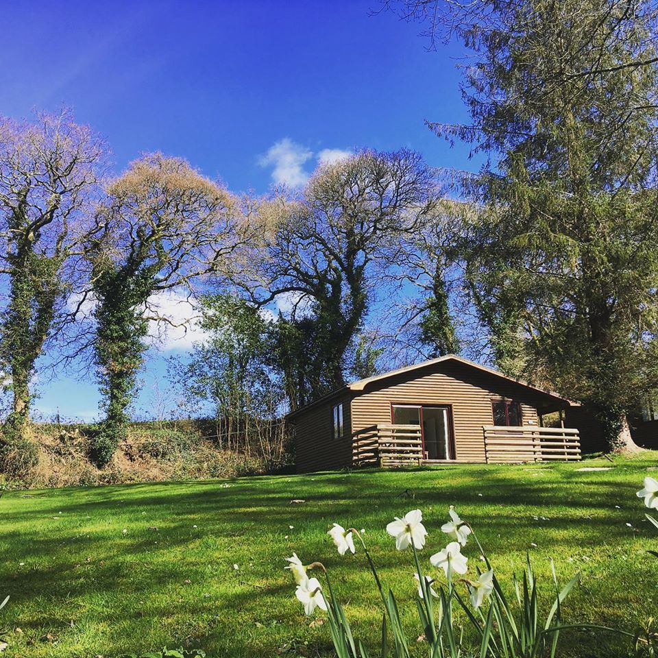 TheHolidayCots's tweet photo. Ruthern Valley Holidays offers a choice of holiday lodges &amp; bungalows just outside #Bodmin. Sleeping up to 6 people, they are well-equipped, accessible &amp; perfect for the whole family including your four-legged friend.
@RuthernValley
Sleeps 1-6
https://t.co/NF2r7l9ydw
#Cornwall https://t.co/iEpjtlJyTW