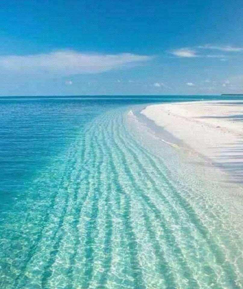 rent_driver's tweet photo. #rentdrivercar #travelsafety #transfer #holiday #summer #personaldriver #vipservices #italy #switzerland #europe #voyage #tourism #luxury
https://t.co/R4JqAmGRZb 
https://t.co/gCm5gPe2xR 
info@rentdrivercar.com https://t.co/l64c896ckd