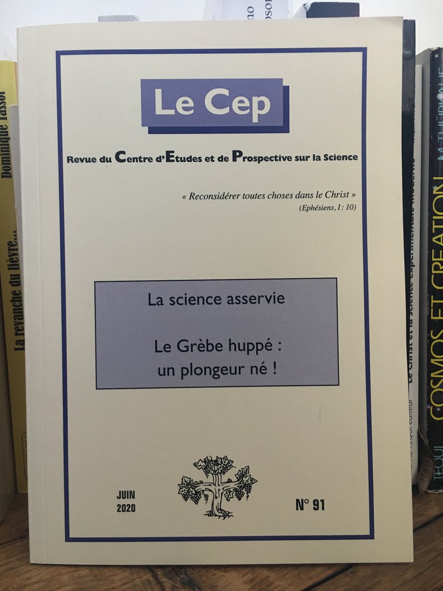 LeCEP_Science's tweet photo. Le nouveau numéro (91) de la revue du #CEP est sorti ! 

Au programme : la Science asservie, Galilée, le Darwinisme jugé par les princes de l'Eglise, le Grèbe huppé...

➡️Pour consulter les anciens numéros : https://t.co/XFPk1VbsjQ

➡️Pour vous abonner : https://t.co/E7x5oUIPr5 https://t.co/x1QUCRpiRb