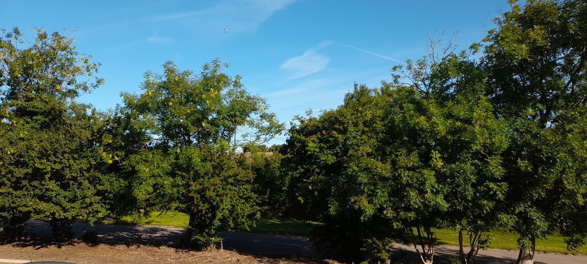 ambermule's tweet photo. Glorious morning in the Kingdom... Looking forward to a productive Tuesday... https://t.co/uVugayJR3S