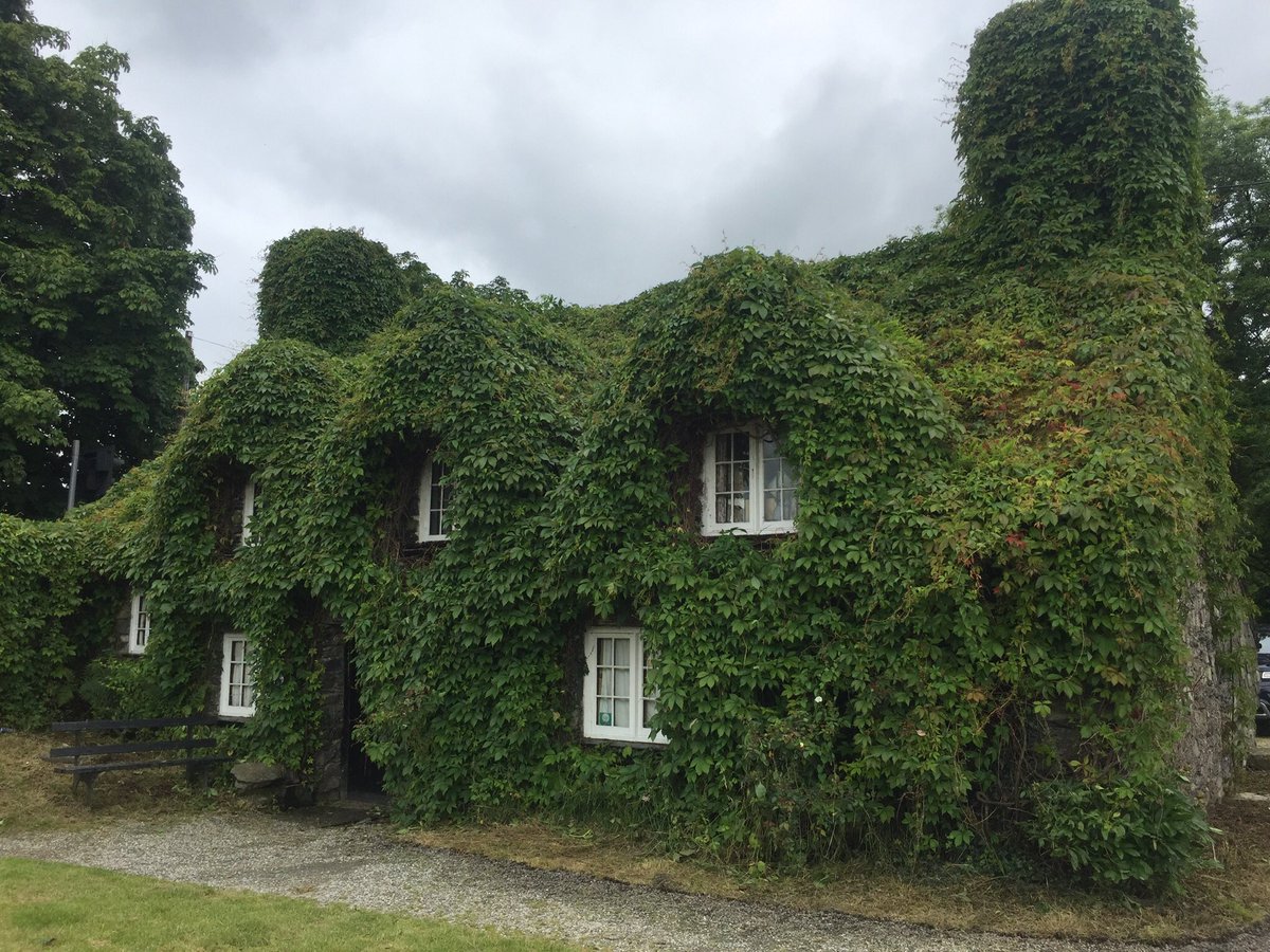 TuHwntirBont's tweet photo. Happy to announce that the tearoom has had its post lockdown haircut and is reopening, outside only, today! See you soon hopefully https://t.co/IbuOriVBxv