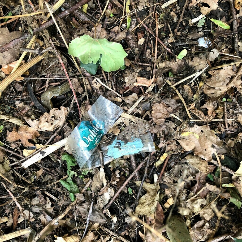 SurfersAgainstSewage_London tweet media