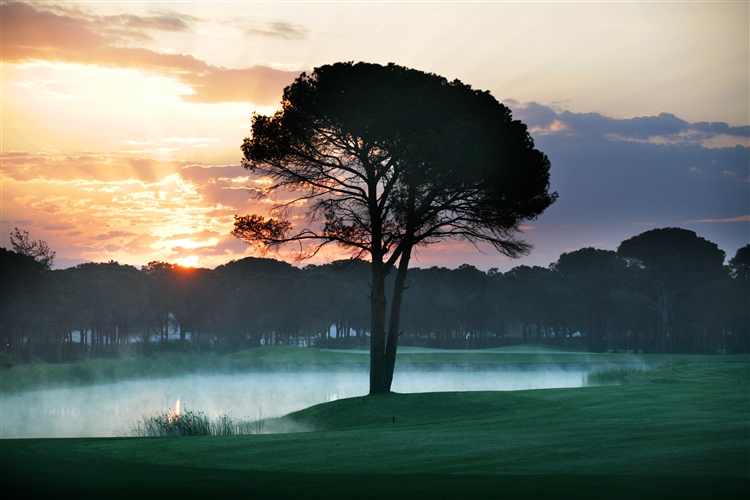 belekgolfturkey's tweet photo. Montgomerie Maxx Royal Golf Course - Belek - Antalya - Turkey 
https://t.co/1tWxEKyMic 

#Golf #PGA #GolfCourse #PGA #TigerWoods #golfdigest  #pgagolf #czechgolf #golfholidaysbelek #golfreisen #golfdeutschland #golfer #GreenFee #Belek #MTVHotttest https://t.co/NP0MVBVuk0