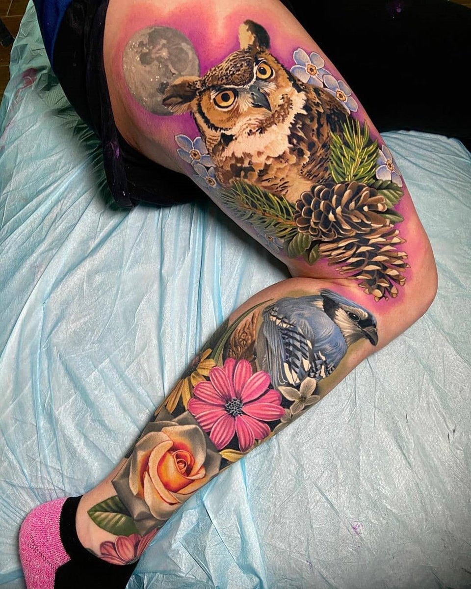 Tattoo Ideas Owl Blue Jay T Co Txw6bihglx Tattoo Ideas Owl Blue Jay T Co Txw6bihglx