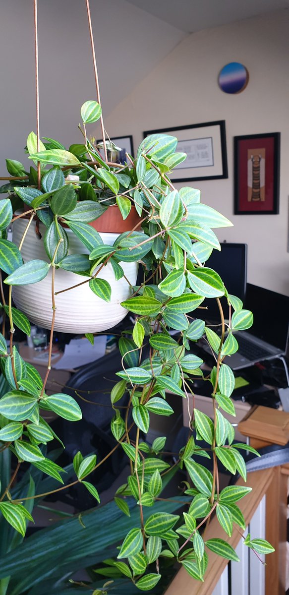 Kevin Blake tweet media