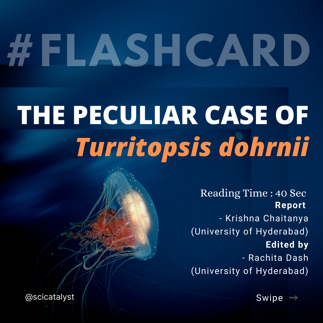 scicatalystweb's tweet photo. Did you know that #jellyfish exhibit a kind of #immortality? Not just that, they have another curious case too, just like Benjamin Button. Read the twitter thread to find out and comment on what you think! #ScienceFlashcard #SeaLife #Immortal https://t.co/VMLAxO65Mf