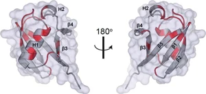 DeenaSierra1's tweet photo. A newly developed method allows structure elucidation of proteins inside intact mammalian cells, using solid-state NMR spectroscopy.
#NMRspectroscopy #structuralbiologyconferences #structuralbiologyevents #onlinevents #webinarevents #proteins https://t.co/F7Dx71FXq5