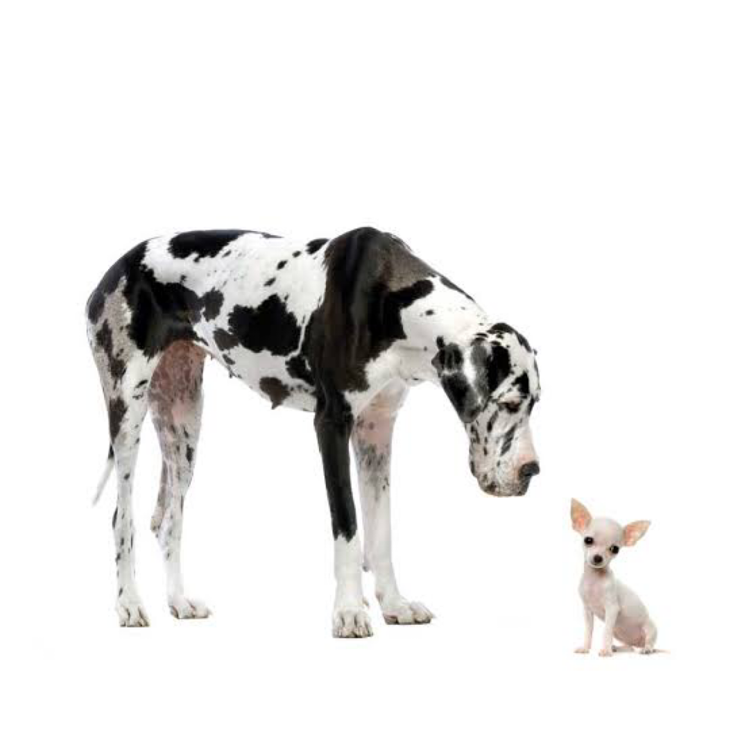 vaniofortes's tweet photo. A internet é o espaço onde onde os pequenos podem fazer a diferença no mundo dos grandes. Tudo depende de sua estratégia de comunicação.
#f12com parceria na sua #jornadadigital
#microempreendesores #mei #pequenasempresas #grandesnegocios https://t.co/p1WJf7ot91