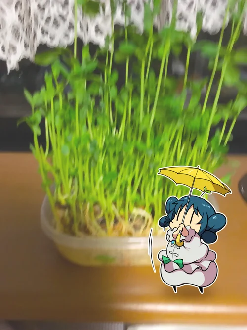 もうちょい。 
