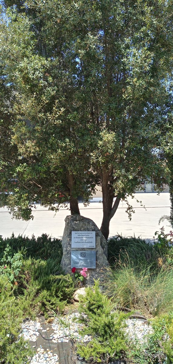 Joan Biescas tweet media