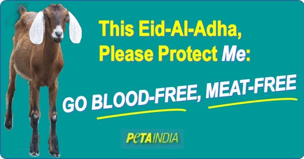 ShefVaidya's tweet image. Hey @PetaIndia is this your new hoarding on #EidAlAdha? No? Why not? Lack the cojones?