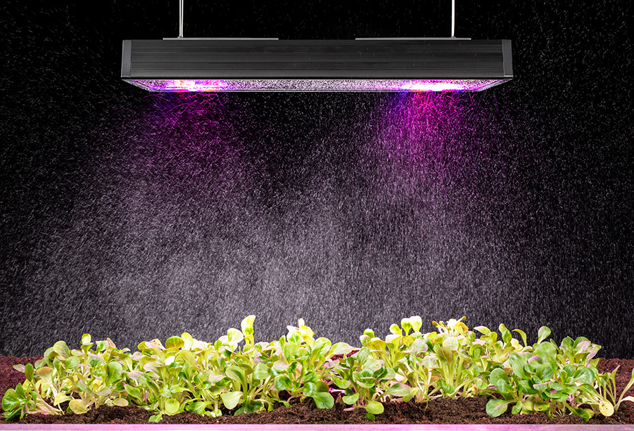ledonlamp's tweet photo. We set-up a new business area in the beginning of 2020. This is Horticulture Lighting standing for intelligent led grow light solutions. Our LUMEOLUX luminaires boost the plant production of the greenhouses and indoor farming: https://t.co/rYZRkY1eAV
#horticulturelighting https://t.co/XYv91ObPqC