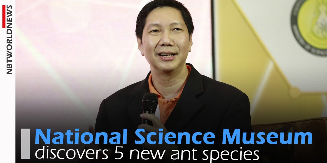 NBTWORLDNews's tweet photo. The National Science Museum (NSM) has announced that its researchers had discovered 5 new species of ants in Southeast Asia.
Read more : https://t.co/X3BIHebbwM
#NationalScienceMuseum #southeastAsia #Tak #NakhonSiThammarat #ข่าวด่วน #มดพันธุ์ใหม่ https://t.co/azM8HxrO1C