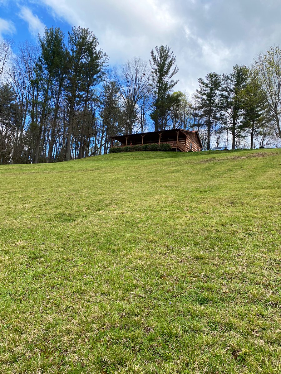 cassidyakers22's tweet photo. Proof that the grass on my side is greener 😍😜 #cabinlife #virginia #laurelfork https://t.co/vbYzJxcPoN