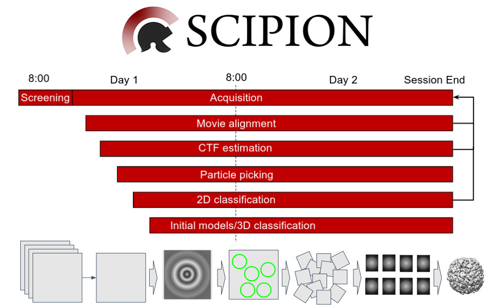 InstructI2PC's tweet photo. I2PC Webinar: Stream processing in Scipion 3. Friday 24 at 17.00 CET. 
Speaker: David Maluenda @malunera &amp; Marcos Gragera @MGragera 
Registration open at: https://t.co/uLnyzNrMMp
@scipion_em @instructhub @CNB_CSIC @CSIC @ELIXIREurope @INB_Official https://t.co/MZ0rnsPdiv