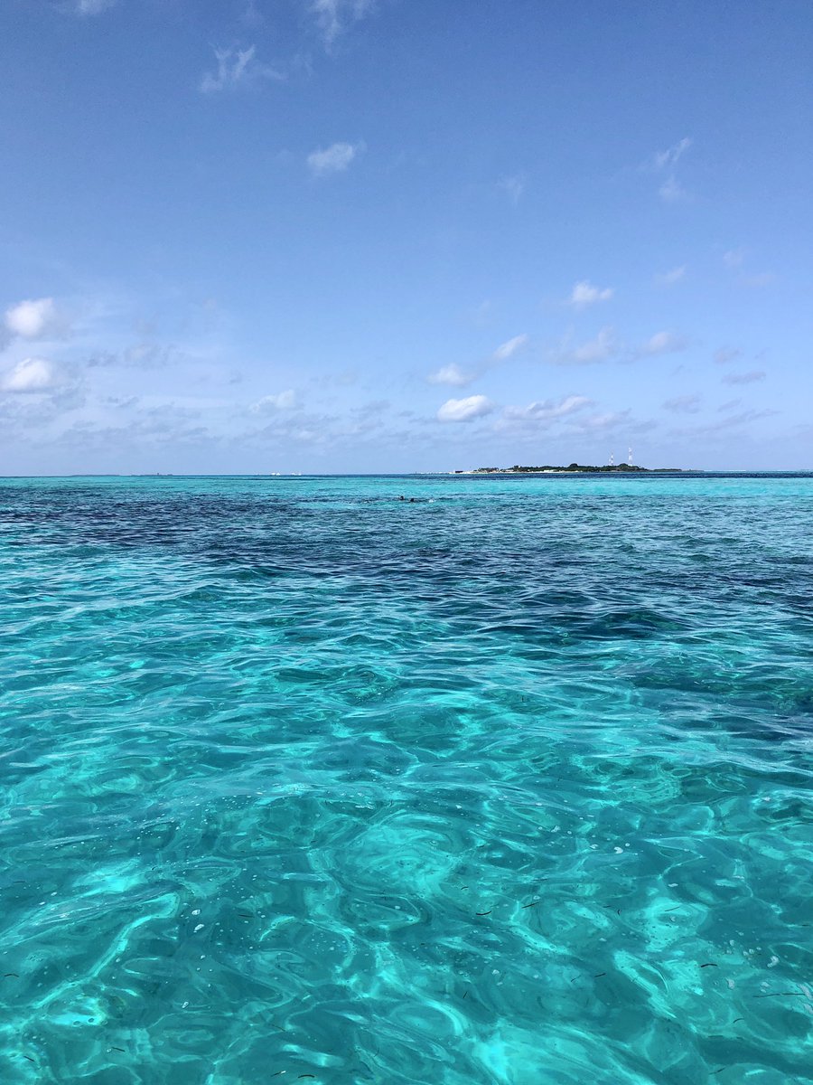 dhiffushi_inn's tweet photo. They dream in colors borrowed from the sea. Make your dream colorful.

@dhiffushi_inn @dhiffushi 

#dhiffushi #dhiffushibeach #crystals #crystalhealing #crystalbluewater #bluesky #islandvibes #smoothday #sunnysideoflife #sunnyislesbeach https://t.co/0F5VWZJg45