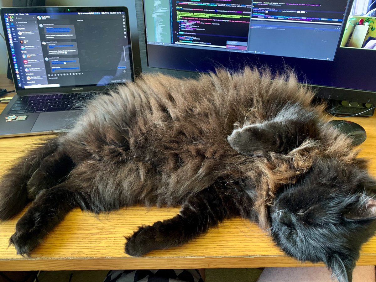 acatnamedjay's tweet image. Coding is exhausting 💻 😴 #catsnotcovid #codingcats #codingwithcats #workingfromhome #catsworkingfromhome