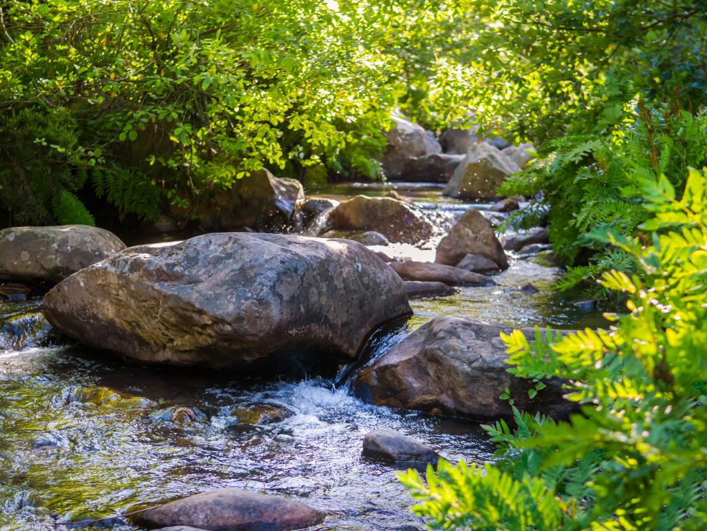 EU_JRC's tweet photo. Geospatial data can help countries &amp; regions to monitor changes to freshwater ecosystems despite limitations to movement during the #coronavirus pandemic. 

Discover the freshwater ecosystems explorer, built with @Google &amp; @UNEP
👇
https://t.co/mfDmBhKNNf
#SDG https://t.co/xGdDVEPRR2