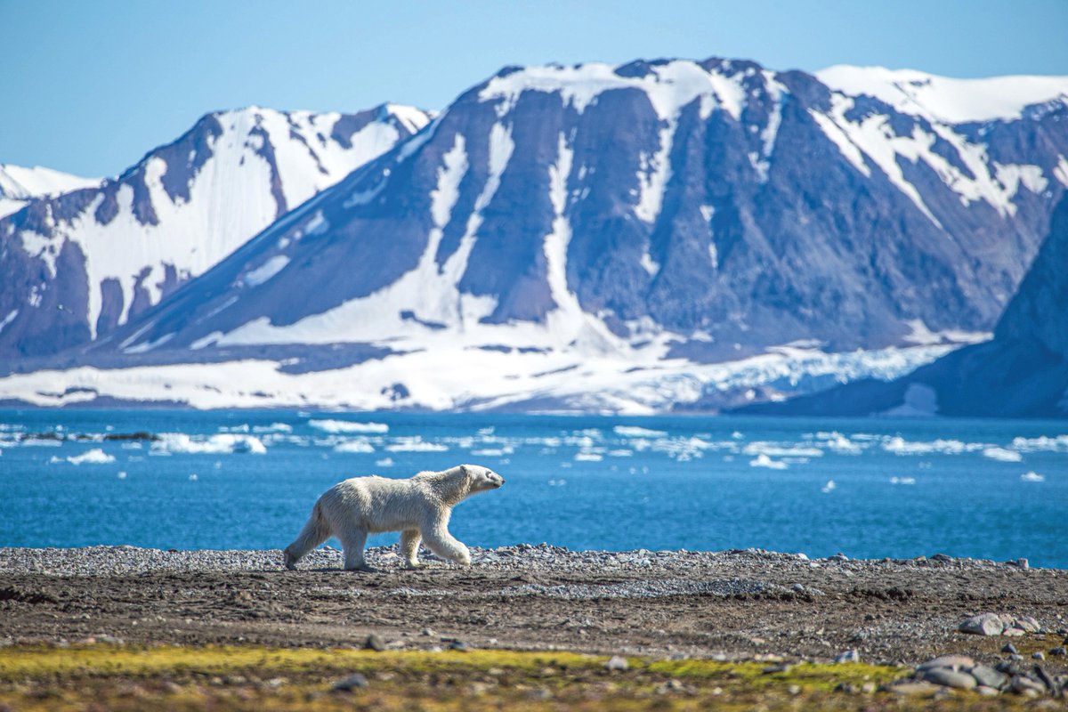 ScenicCruisesDE's tweet photo. 2021 können Sie mit der #ScenicEclipse an den Polarkreis reisen und die Natur-Highlights der Arktis und der Fjorde mit unseren Hubschraubern, dem U-Boot, Zodiacs und Kajaks erkunden. Bis zum 31. Juli sichern Sie sich bis zu 3.000 € Air Credit: https://t.co/njrk2nnGpP https://t.co/VvAXqaEy6F