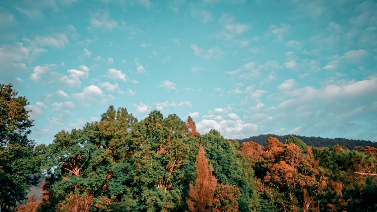 Bokiw's tweet photo. “Earth and sky, woods and fields, lakes and rivers, the mountain and the sea, are excellent schoolmasters, and teach some of us more than we can ever learn from books.” 

– John Lubbock https://t.co/caogbb55BS