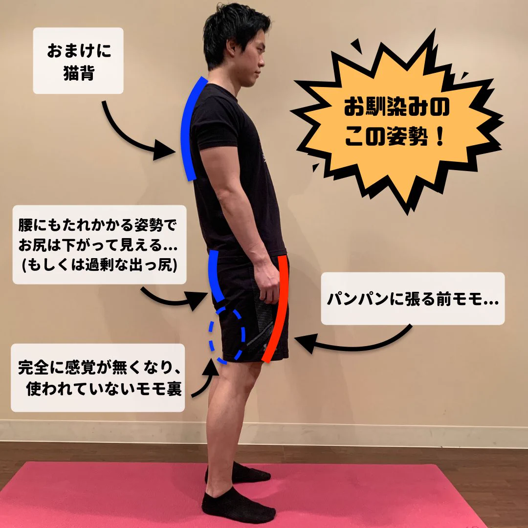 脚やせ、タレ尻、猫背に利くストレッチ！！「もも裏」を鍛えてキレイを手に入れよう！！