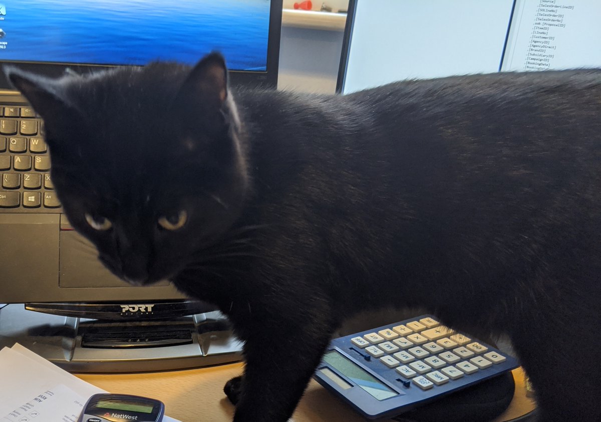ptrassociates's tweet photo. Working from home with the help of your pets? There are many challenges with the "new normal", our Virtual training solutions can be tailored to fit with your current way of working.  https://t.co/oqIACMH4SG #KeepLearning #FeelSafe #VirtualTraining https://t.co/I9N9v6O9Xt
