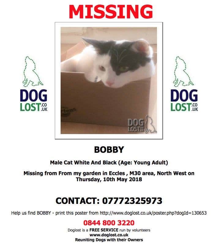 AlanDaffern's tweet photo. #StillMissing Bobby male #WhiteAndBlackCat - #Lost 10th of May 2018 - #Eccles #GreaterManchester #M30 - #Neutered & #Microchipped - Distinctive characteristics - Mainly white with black patches and a black tail
https://t.co/ZkN4wbmIb7
#helpfindbobby #nevergiveup #scanme https://t.co/u1RFwKiCcb