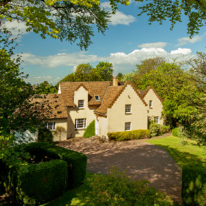 ICMI The Collection tweet media