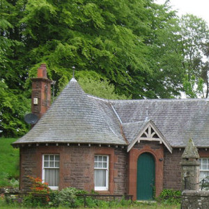 ICMI The Collection tweet media