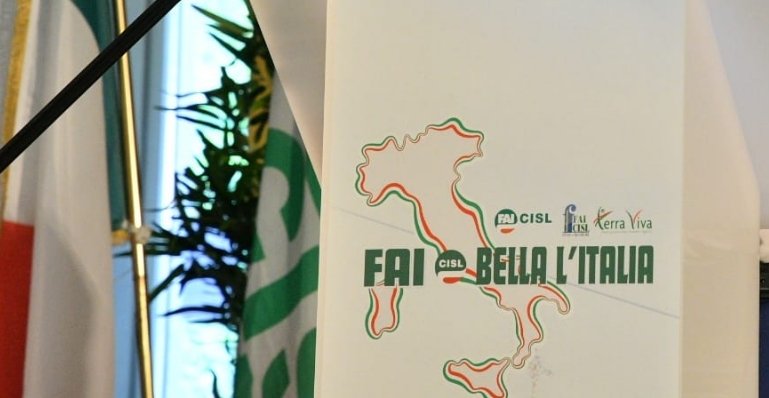 OnofrioRota's tweet photo. Basta con le polemiche! L’Italia ha ottenuto dall’Europa 209 mld: utilizziamoli bene, è tempo di tirarsi su le maniche e ripartire con un progetto serio di Paese. Il resto sono chiacchiere. Rigeneriamo un nuovo tempo economico e sociale #ManifestodiAssisi #EUCO #FaiBellaLItalia https://t.co/wQ8JiejfOX