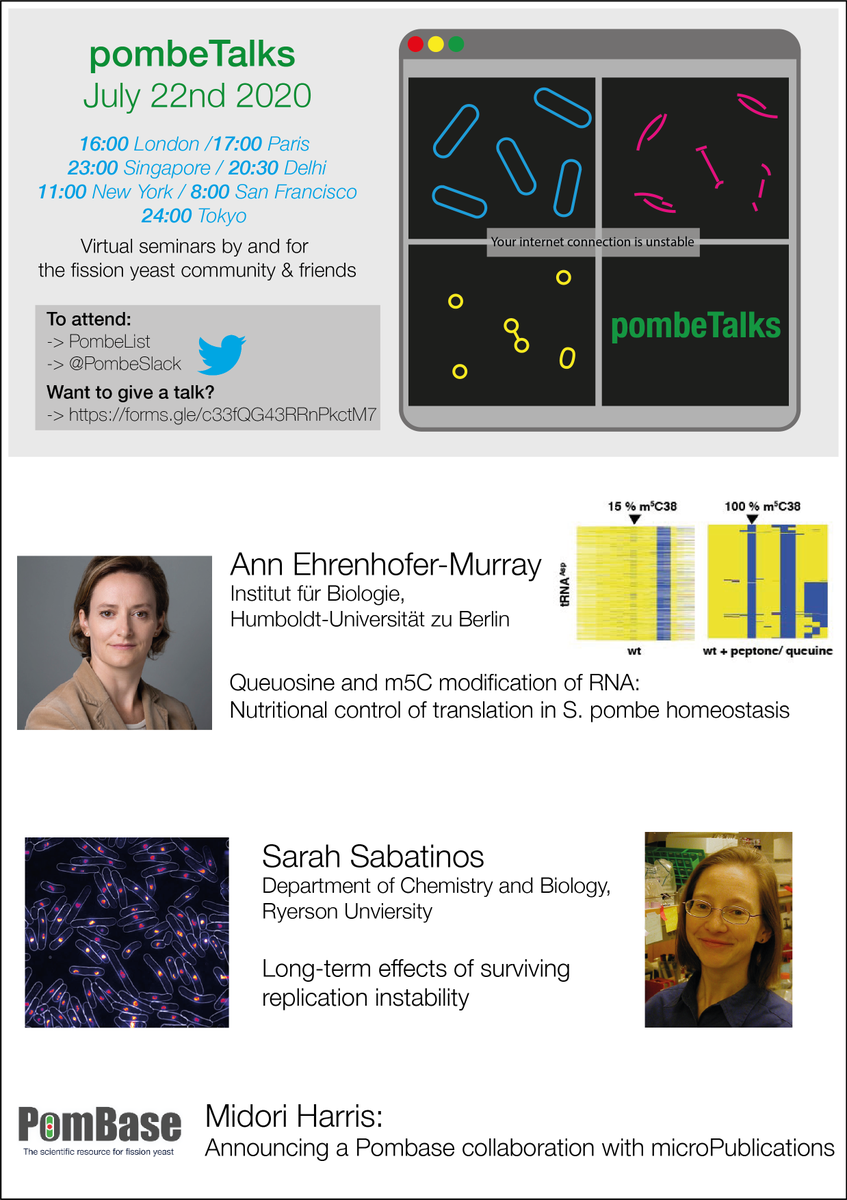 Scott Curran (@scotchcurran) on Twitter photo 🚨 #pombeTalks TOMORROW July 22nd 16:00 BST! 🚨 We have talks from <a href="/ann_ehrenhofer/">Ann Ehrenhofer-Murray</a> (<a href="/HumboldtUni/">Humboldt-Universität zu Berlin</a>), Sarah Sabatinos (<a href="/RyersonU/">Ryerson University</a>) and a <a href="/PomBase/">S. pombe model organism knowledgebase</a> announcement from Midori Harris. 🧪 See you there! 🧪 <a href="/PombeSlack/">PombeSlack</a> <a href="/Dey_Gautam/">Gautam Dey</a> <a href="/VenetaG1/">Veneta G</a> <a href="/mpswaffer/">Matthew Swaffer</a> #pombe 🚨 #pombeTalks TOMORROW July 22nd 16:00 BST! 🚨 We have talks from <a href="/ann_ehrenhofer/">Ann Ehrenhofer-Murray</a> (<a href="/HumboldtUni/">Humboldt-Universität zu Berlin</a>), Sarah Sabatinos (<a href="/RyersonU/">Ryerson University</a>) and a <a href="/PomBase/">S. pombe model organism knowledgebase</a> announcement from Midori Harris. 🧪 See you there! 🧪 <a href="/PombeSlack/">PombeSlack</a> <a href="/Dey_Gautam/">Gautam Dey</a> <a href="/VenetaG1/">Veneta G</a> <a href="/mpswaffer/">Matthew Swaffer</a> #pombe