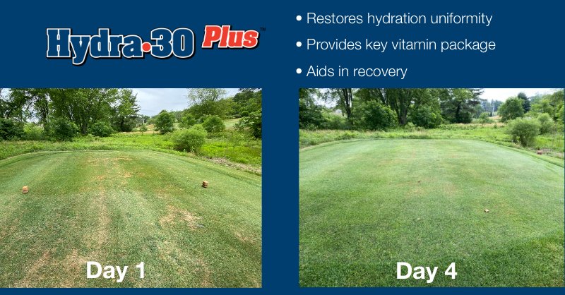 Solutions4Turf's tweet photo. Mother Nature has turned up the heat! Let Hydra-30 Plus provide you with uniform hydration along with a key vitamin package to mitigate the stresses from heat and allow quick turf recovery. #MultiBranched #Patented https://t.co/URSWGBu4EI https://t.co/GYX9RlSEJC