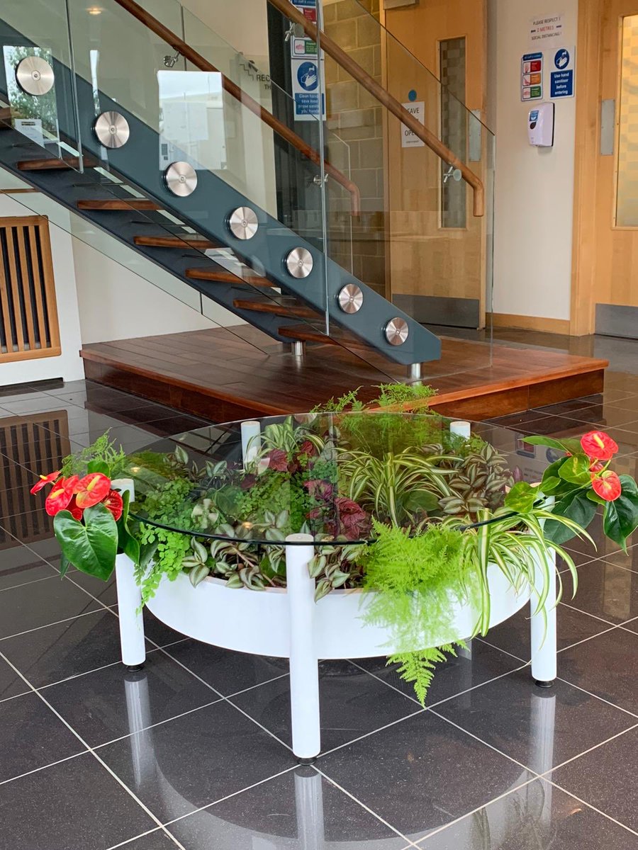 urbangreeningco's tweet photo. photoshoot of our latest creation at @SteinSandbanks #livingtable #realplants https://t.co/8BLavvPLfJ
