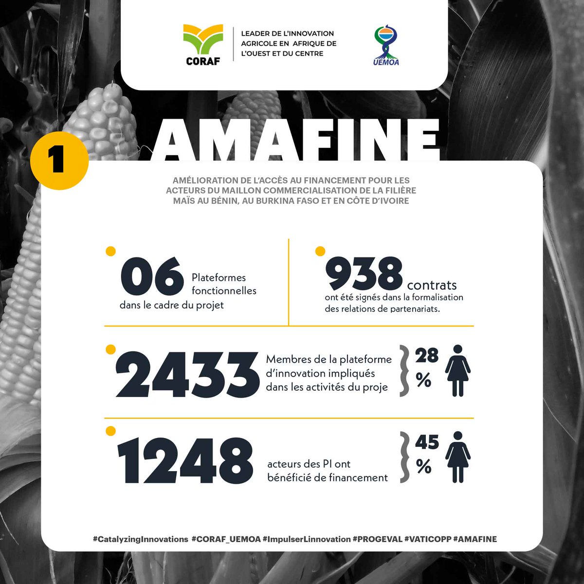 CORAFNews's tweet photo. #AMAFINE: Amélioration de l’Accès au Financement pour les Acteurs du Maillon Commercialisation de la Filière maïs.
Découvrez dans cette infographie les résultats clés de ce projet au #Benin #BurkinaFaso et en #CôtedIvoire. 

#CORAF_UEMOA https://t.co/xSK3lBsU8e https://t.co/Glh2OgyTJq