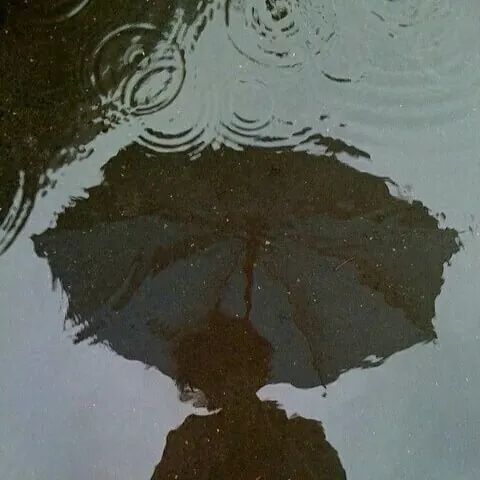 open_chapter tweet picture