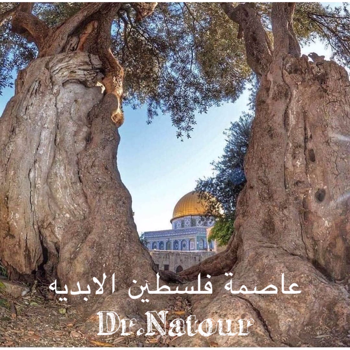 natour_dr's tweet photo. القدس عاصمة فلسطين ونقطه على السطر .
شاء من شاء وابى من ابى ✌️🇵🇸 https://t.co/gnHTkTWKUW