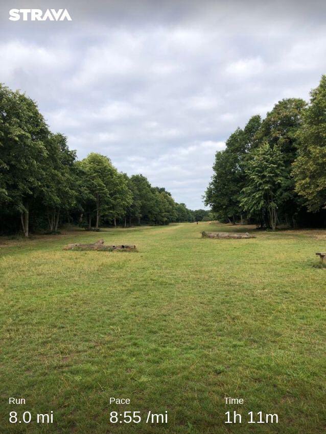 Bennythefish75's tweet photo. Lovely morning for a run around #wansteadpark #ukrunchat #TuesdayMotivation #247running @runr_uk #twitterunr #runhappy #enjoyrunning @Orion_Harriers #orionharriers #lejog3 #endtoend https://t.co/XHu6gpL3w6