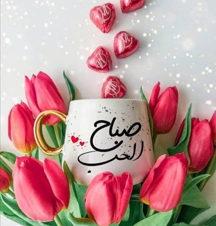 صباحكم حب صباحكم سكر صباح الخير على الناس الطيبين و الغاليين 🌺🍒⁦❤️⁩⁦❤️⁩😍