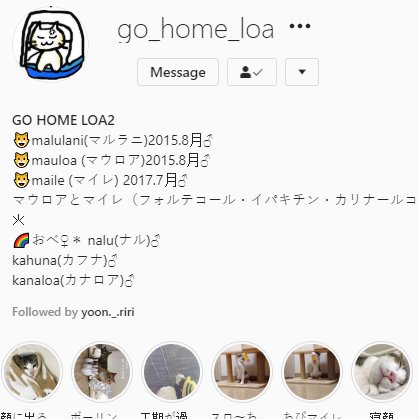 I found their instagram!! :D please follow these angels https://instagram.com/go_home_loa 