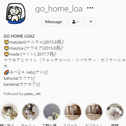 I found their instagram!! :D please follow these angels https://instagram.com/go_home_loa&nbsp;