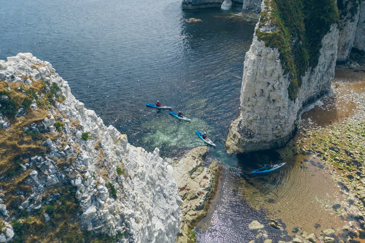 BritainNatural's tweet photo. We’ve all heard about foraging but did you know about coastal foraging? This unique experience involves kayaking along Dorset’s Jurassic Coast, collecting edible plants and seaweeds from along the shore then cooking up a feast on dry land. 

https://t.co/Mowm4DssbL https://t.co/aGvsgXFbMX
