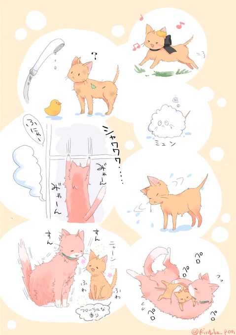シャンプーぐだこねことロマネコ(ロマぐだ♀) 