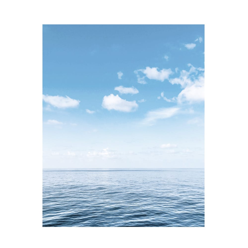 ElonneParis's tweet photo. Are you ready to ride the Élonne wave?

#ÉlonneParis #ÉlonneWave #FrenchStyle #FrenchBrand #NatureLover #SlowFashion #MadeToMeasure https://t.co/vuTcZMQqkW