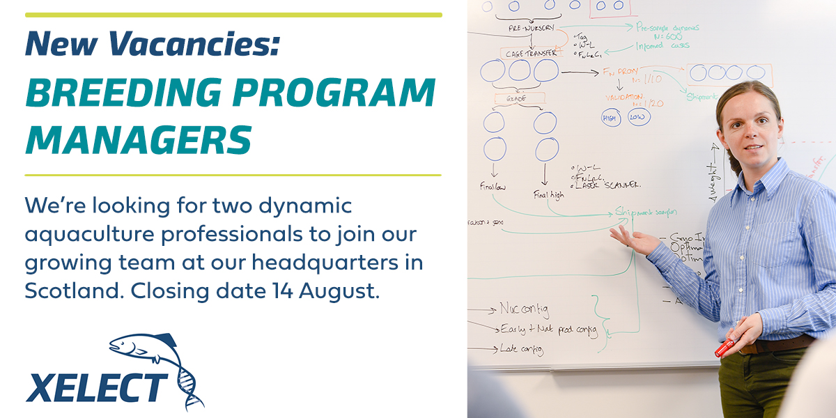 We've got two fantastic new vacancies for Breeding Program Managers in our aquaculture genetics team. You'll be at the forefront of providing genetic services worldwide. Deadline is 14 August. xelect-genetics.com/vacancies/ #Aquaculture #Genetics #Recruiting