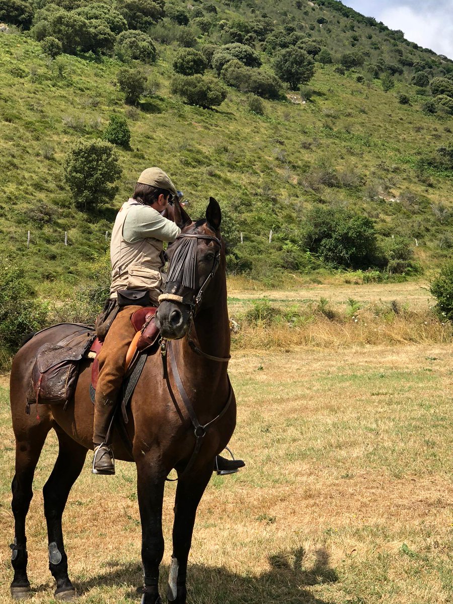 IberaliaGO's tweet photo. Aquí os traemos un adelanto pero ¿qué estamos rodando? ¿dónde? Atentos a nuestras redes porque os iremos dando más y más pistas.
#merkelhelix #merkelhunting #merkelgear https://t.co/xj18t2H2jB