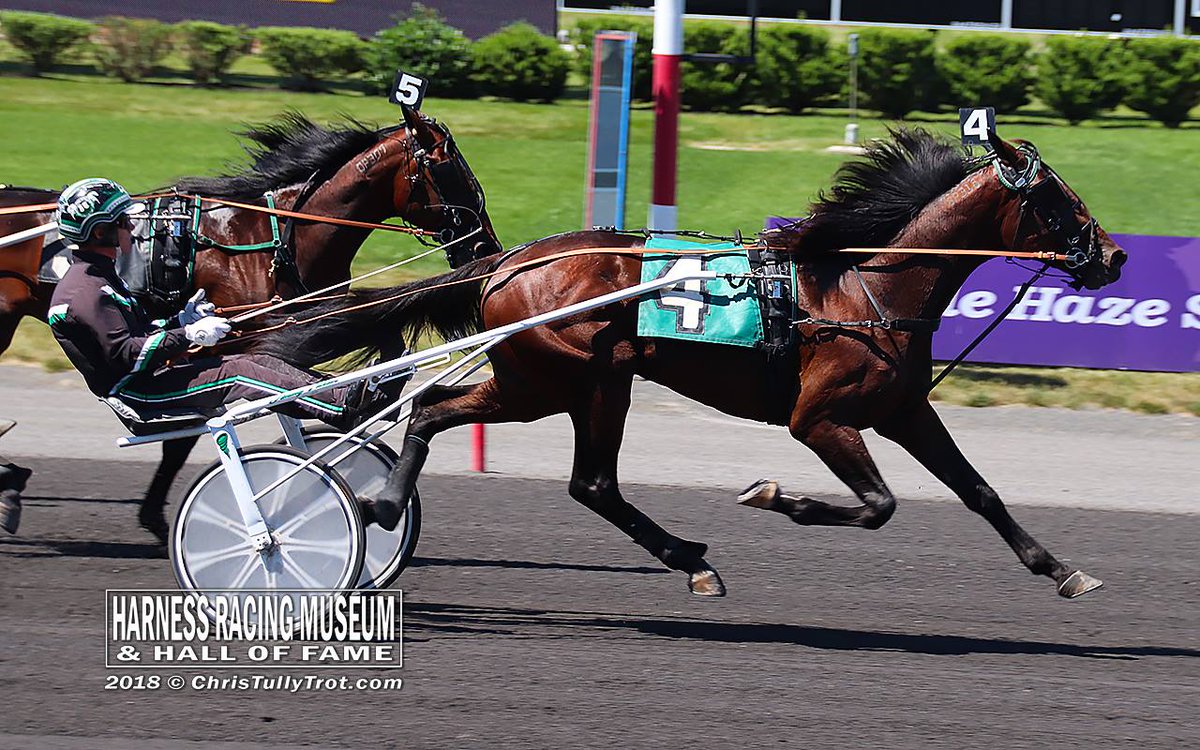 equidia's tweet image. #Trot Samedi 25 juillet 
Enghien ➕ Washington ➕ 1.609m 🔀 🚀

▶️ Le gagnant de la Loterie de Naples, BEL AVIS de retour en région parisienne.
▶️ DRÔLE DE JET étincelant en ce moment
▶️ Le 4 ans HUDSON RIVER 🇺🇸 #FatherPatrick pourrait faire une grande rentrée. 📸